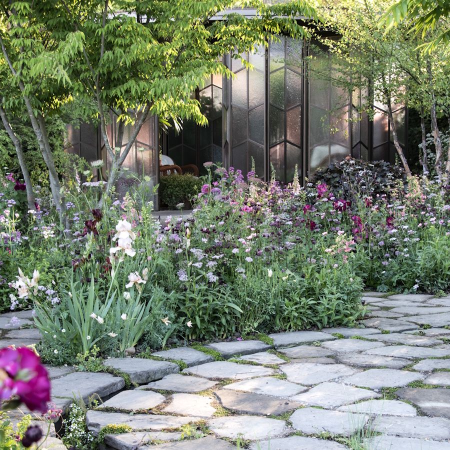 Stone path leading to bronze and glass structure, with copper beech hedging and tall perennial plants in the borders